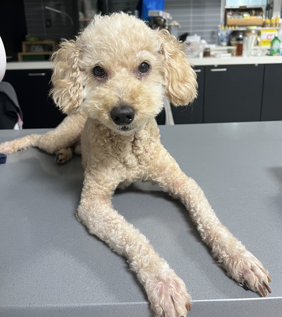 9678c7111c559de67c5650545fa900ae_1758698009_1384.jpg 9678c7111c559de67c5650545fa900ae_1758698009_1384.jpg