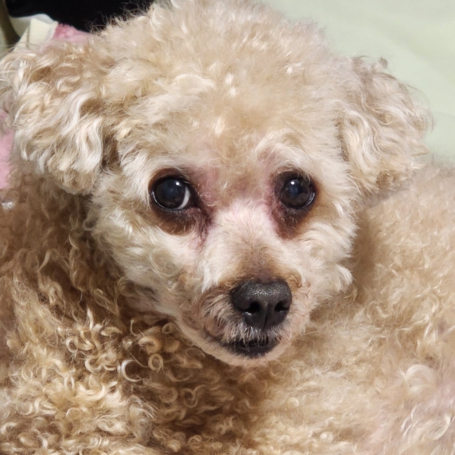 98924f496ebb4a1a89c2ceb1e657115c_1759062828_048.jpg 98924f496ebb4a1a89c2ceb1e657115c_1759062828_048.jpg