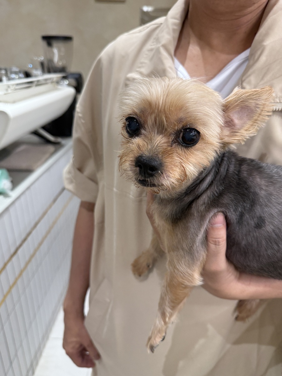 ff9fc6130fdbc8bafa2d76a3f16ad369_1759209237_8432.jpg ff9fc6130fdbc8bafa2d76a3f16ad369_1759209237_8432.jpg