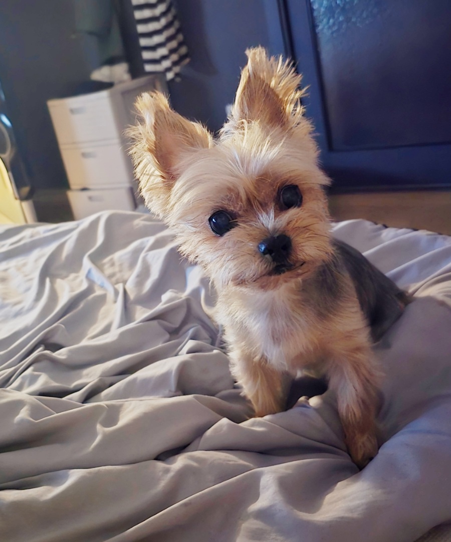 ff9fc6130fdbc8bafa2d76a3f16ad369_1759209273_0441.jpg ff9fc6130fdbc8bafa2d76a3f16ad369_1759209273_0441.jpg