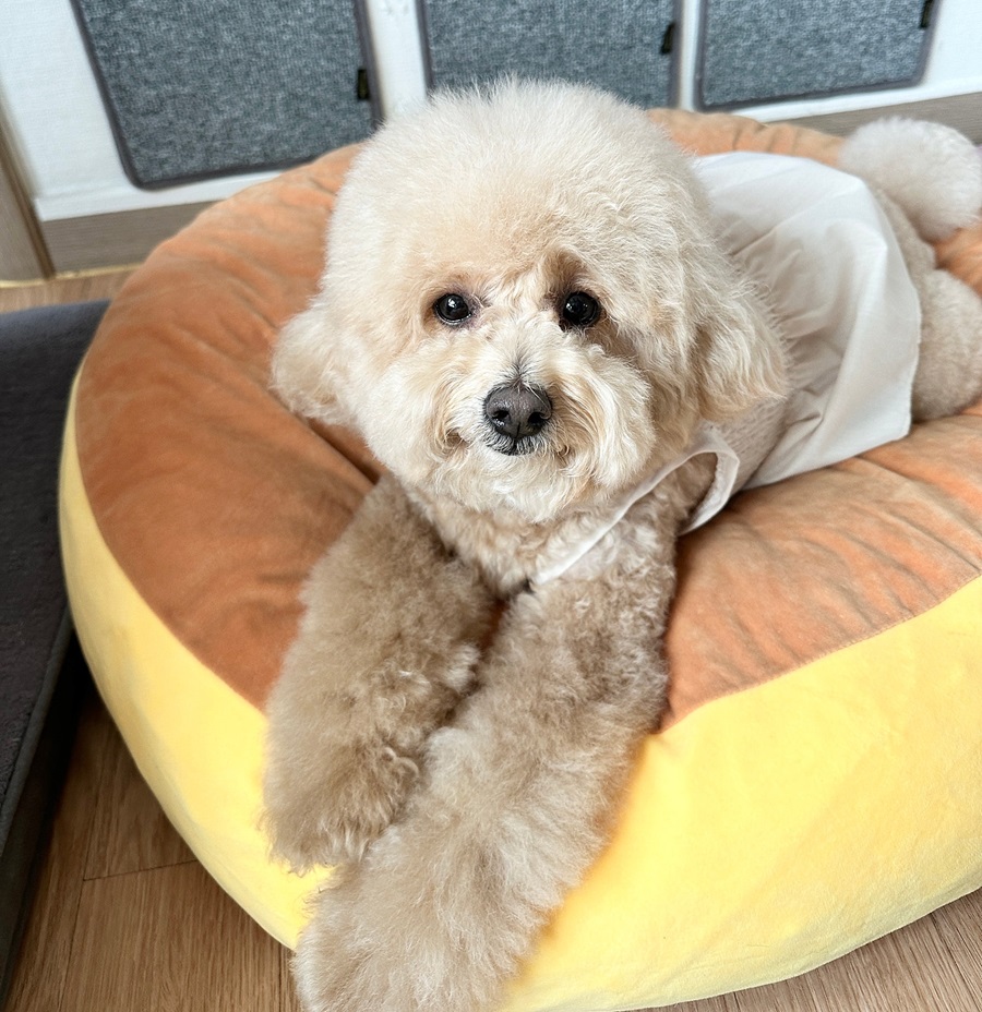 c8ace839c5c67a5d879792168edbaddd_1761133207_1093.jpg c8ace839c5c67a5d879792168edbaddd_1761133207_1093.jpg