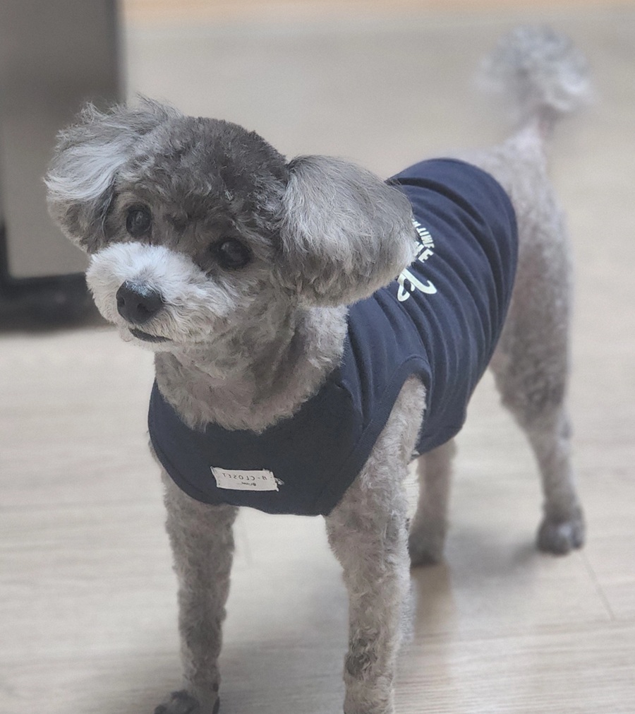 18af41c1d4c038647dc450909605f1f3_1764601961_696.jpg 18af41c1d4c038647dc450909605f1f3_1764601961_696.jpg