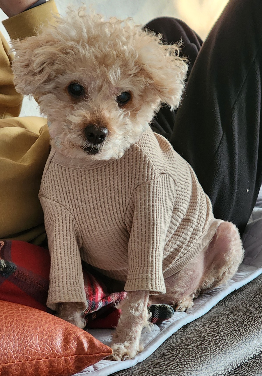 76a248b479e155bc52732faf89710998_1765535934_899.jpg 76a248b479e155bc52732faf89710998_1765535934_899.jpg